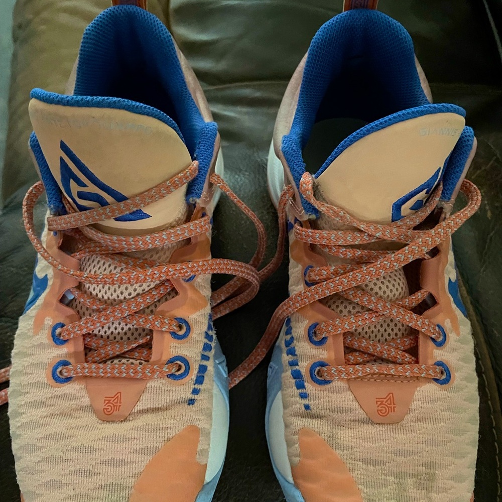Nike Basketball Shoes. Have been worn for volleyball only.